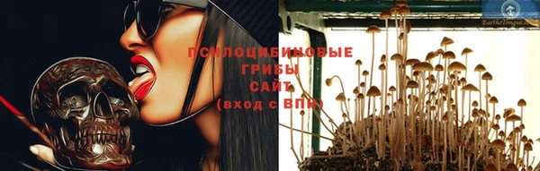 эйфоретик Горняк