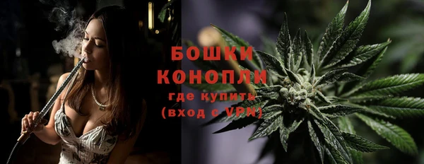 эйфоретик Горняк