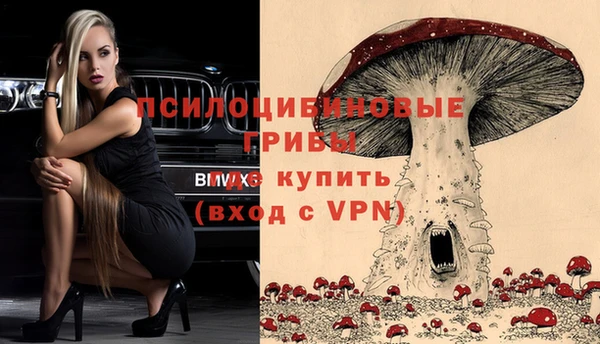 гашиш Горнозаводск