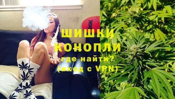 эйфоретик Горняк