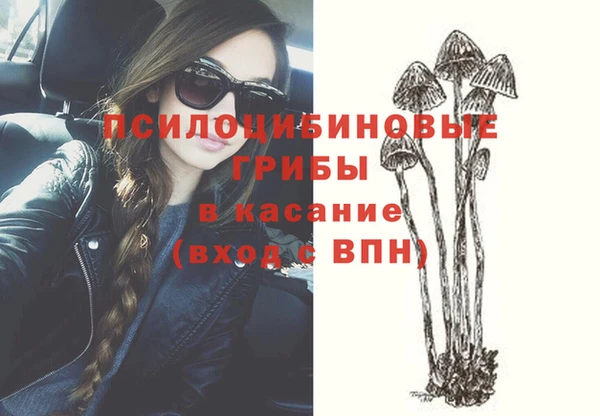 эйфоретик Горняк