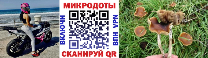 даркнет телеграм  МЕГА сайт  Псилоцибиновые грибы GOLDEN TEACHER  Хабаровск  купить наркотик 